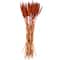 Dried Plant Bunny Tail Natural Foliage with Long Stems